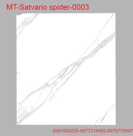 Gạch ốp lát Ấn Độ KT 600x12000mm MT-Satvario Spider-0003