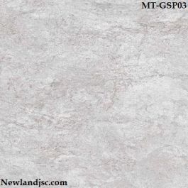 Gạch Indonesia Niro Granite Soaprock MT-GSP03