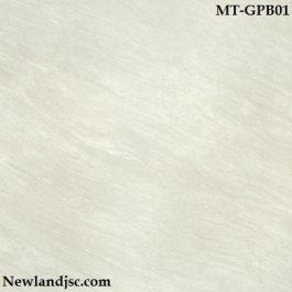 Gạch Indonesia Niro Granite Polar Black MT-GPB01