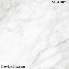 Gạch Indonesia Niro Granite MT-GBP10