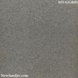 Gạch Indonesia Niro Granite Gradino MT-GGR03