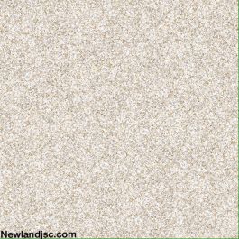 Gạch Prime lát nền KT 400x400mm MT-01.400400.09207