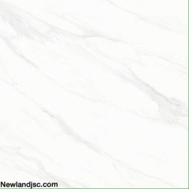 Gạch Prime lát nền KT 500x500mm MT-14.500500.01214