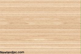 Gạch Prime ốp tường KT 300x450mm MT-14.300450.01384