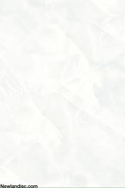 Gạch Prime ốp tường KT 300x450mm MT-14.300450.01564