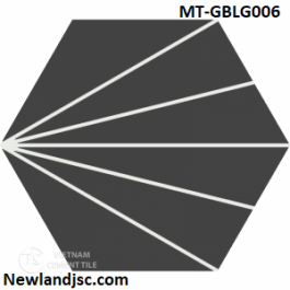Gạch bông lục giác màu đen tia trắng MT-GBLG006