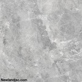 Gạch men sứ KT 600x600mm MT-03.600600.09006
