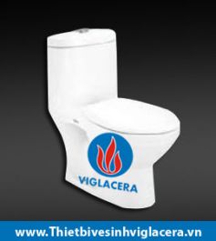 Bàn cầu két liền Viglacera BTE