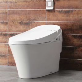 Bồn cầu Viglacera thông minh V91