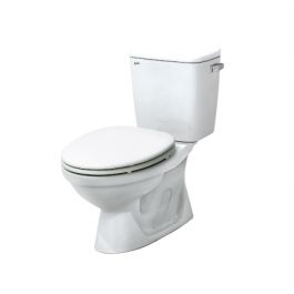Bồn cầu 2 khối C-117VT