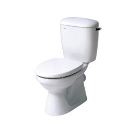 Bồn cầu 2 khối C-333VPT