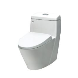 Bồn cầu 1 khối C-909VRN-1