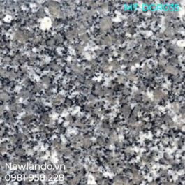Đá Granite trắng suối lau MT-DGR035