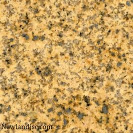Đá Granite vàng Bình Định MT-DGR040