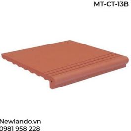 gach-bac-them-mau-do-tham-viglacera-kich-thuoc-300x300x13mm-ct-13b