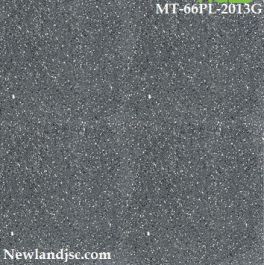 Gạch bóng kính KT 600x600mm MT-66PL-2013G