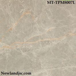Gạch bóng kính KT 800x800 mm MT-TPM8007L