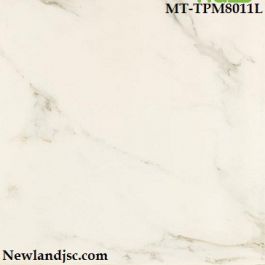 Gạch bóng kính KT 800x800 mm MT-TPM8011L