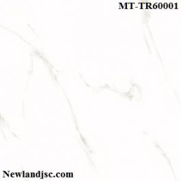 Gạch thạch anh lát nền Ý Mỹ KT 600x600mm MT-TR60001
