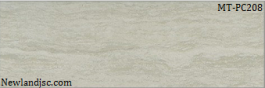 Gạch lát nền TKG KT 300x600 MT-PC208