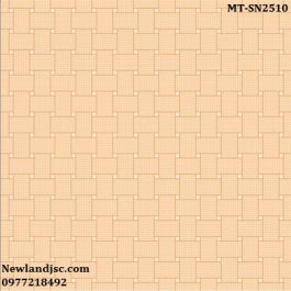 Gạch lát nền Ceramic Mikado KT 250x250mm MT-SN2510