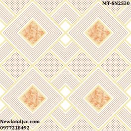 Gạch lát nền Ceramic Mikado KT 250x250mm MT-SN2530