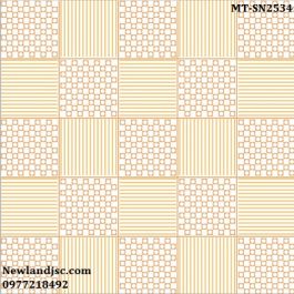 Gạch lát nền Ceramic Mikado KT 250x250mm MT-SN2534