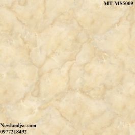 Gạch lát nền Ceramic Mikado KT 500x500mm MT-MS5009