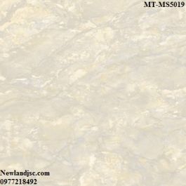 Gạch lát nền Ceramic Mikado KT 500x500mm MT-MS5019