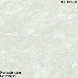 Gạch lát nền Ceramic Mikado KT 500x500mm MT-MS5020