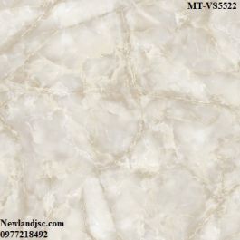 Gạch lát nền Ceramic Mikado KT 500x500mm MT-VS5522