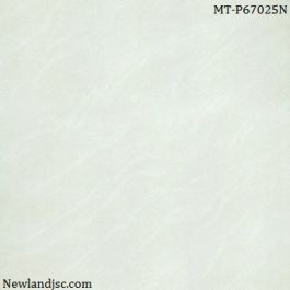 Gạch lát nền Taicera KT 600x600m MT-P67025N