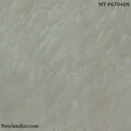 Gạch lát nền Taicera KT 600x600m MT-P67048N