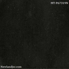 Gạch lát nền Taicera KT 600x600m MT-P67319N