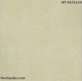 Gạch lát nền Taicera KT 600x600m MT-P67543N