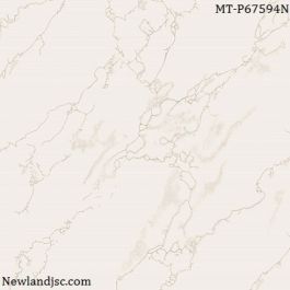 Gạch lát nền Taicera KT 600x600m MT-P67594N