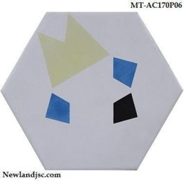 Gạch lục giác MT-AC170P06