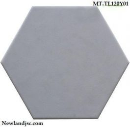 Gạch lục giác MT-TL120Y01