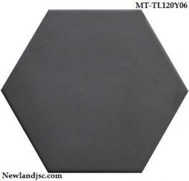 Gạch lục giác MT-TL120Y06