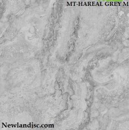 Gạch mờ KT 600x600 mm MT-HAREAL GREY M