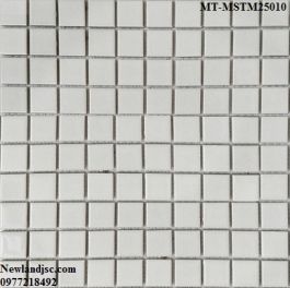 Gạch Mosaic Thủy Tinh mờ đơn màu MT-MSTM25010