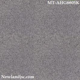 Gạch nhám KT 600x600 mm MT-AHG6605K