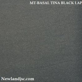 Gạch nhám KT 600x600 mm MT-BASAL TINA BLACK LAP