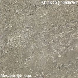 Gạch nhám KT 600x600 mm MT-KGQD060626P