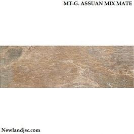 Gạch ốp lát Tây Ban Nha KT 205x615mm MT-G. ASSUAN MIX MATE