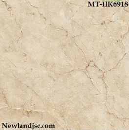 Gạch siêu bóng kính vân đá Marble KT 600x600 mm MT-HK6918