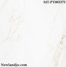 Gạch ốp lát Tây Ban Nha KT 1000x1000 mm MT-PT003375