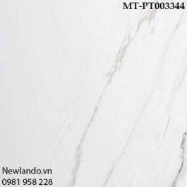 Gạch ốp lát Tây Ban Nha KT 1000x1000 mm MT-PT003344