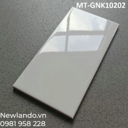 Gạch thẻ Ceramic ốp tường nhập khẩu màu trắng phẳng KT 100x200mm MT-GNK10202