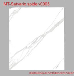 Gạch ốp lát Ấn Độ KT 600x12000mm MT-Satvario Spider-0003